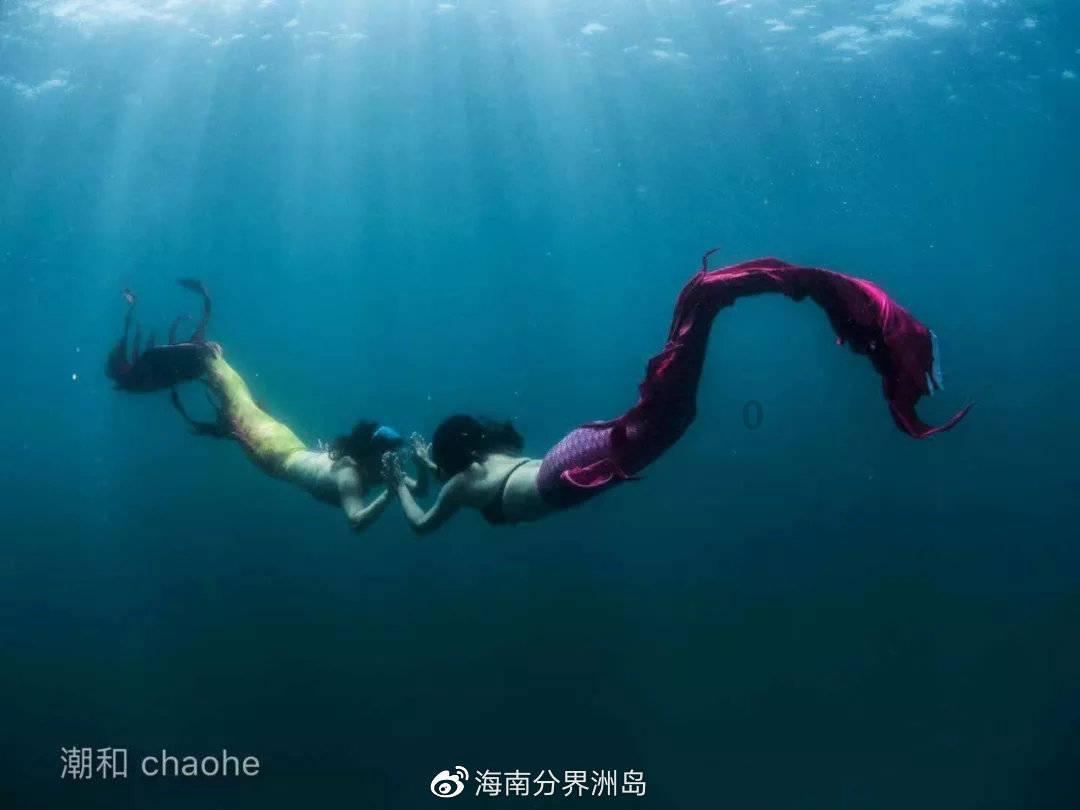 救援瓢虫宝宝