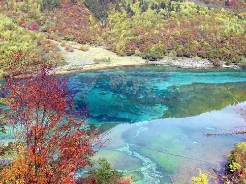 山东大学附属儿童医院荣获“责任耀齐鲁·责任医院”等多项荣誉